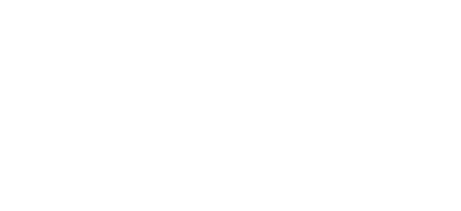 LEVR Auto